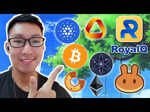 How To Choose The Best Royal Q Coins