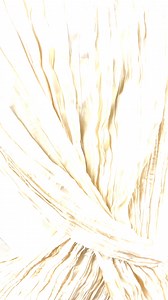 'Calibrate' Watch the Andreas Kronthaler for Vivienne Westwood Spring-Summer 2025 show – live from Paris. Rendezvous on the 28th of September at 1pm CEST (12pm BST). Video by Daniel Face #AKSS25 #PFW | Vivienne Westwood