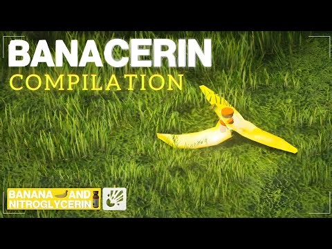 𝗕𝗮𝗻𝗮𝗰𝗲𝗿𝗶𝗻 𝗖𝗼𝗺𝗽𝗶𝗹𝗮𝘁𝗶𝗼𝗻 | ʜɪᴛᴍᴀɴ - ᴡᴏʀʟᴅ ᴏꜰ ᴀꜱꜱᴀꜱꜱɪɴᴀᴛɪᴏɴ (Banana & Nitroglycerin)