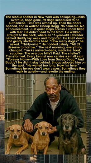 48 HOURS BEFORE GOODBYE… THEN SNOOP WALKED IN.#viral #trending #shortvideo #shorts