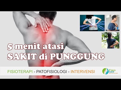 4 Movements to Overcome Back Pain (Physiotherapy Method)
