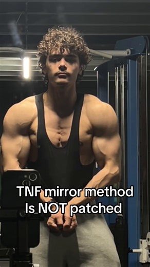 Exploring the TNF Mirror Method