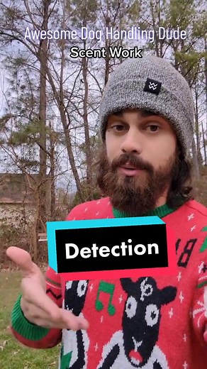 AwesomeDogHandlingDude on TikTok