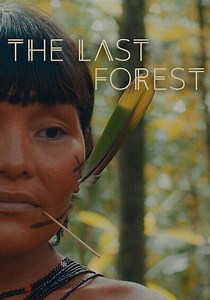 The Last Forest streaming: where to watch online?