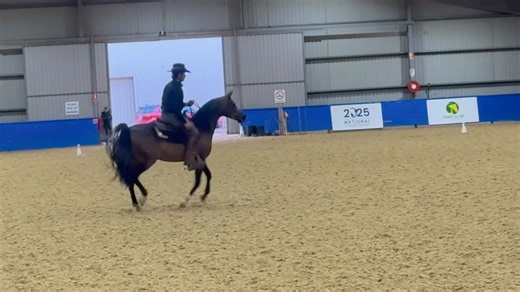 A little snippet of Kody Dertell riding Cartier FF at the Ranvet Australian Pony Club Nationals | Future Farms Arabians