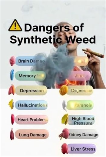 Synthetic Weed Dangers 12 Shocking Harms You Must Know