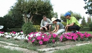 Watch How to Start a Garden Club on Amazon Live