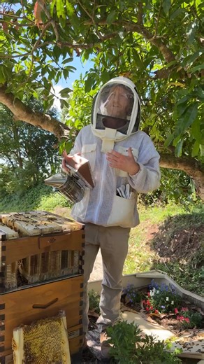 How does the Flow Hive work? | Flow Hive