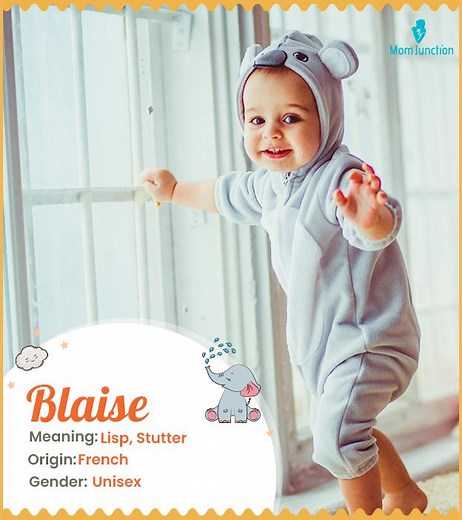 Blaise Name, Meaning, Origin, History, And Popularity