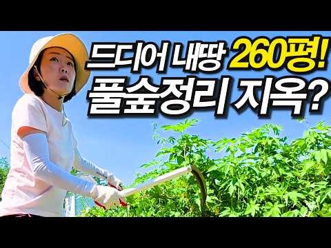 The grass has grown taller than me?! Is it possible to clear a 260-pyeong jungle-like overgrown a...
