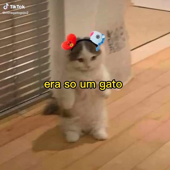 Os vídeos de minegatogojo (@minegatogojo0) com som original - myachi.i