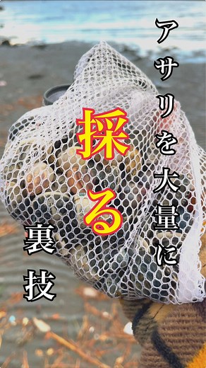 潮干狩りのルールとおすすめポイント