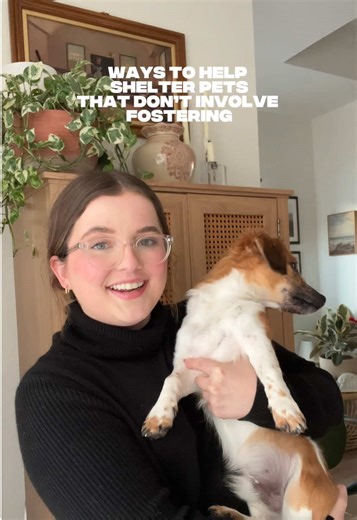 fostering isn’t the only way to make a difference 🫶🏼🐕🐾🦴 animal shelters, help animals without fostering, support animal shelters, ways to help animals, animal rescue support, donate to shelters, volunteer with animals