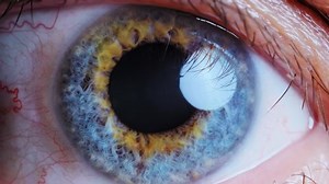Extreme Close Human Eye Iris Stock Footage Video (100% Royalty-free) 1037165969 | Shutterstock