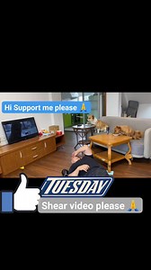 93K views · 3.8K reactions | Smart Dogs Smart music Time #smartdogs #doglaover #topfan #doglove | Hr Fayez | Facebook