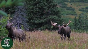 9.7K views · 576 reactions | 2023 Calendars are shipping now. Get...