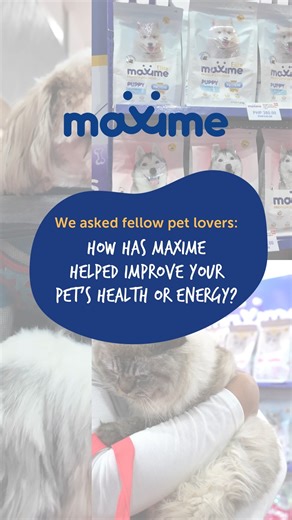 We caught up with some amazing pawrents who are seeing real results about their furry besties like brighter coats, healthier skin, and unstoppable energy!💪🏼 Check out their stories to see the difference a quality meal makes.😋 How 'bout you? Which Maxime meal always gets two paws up from your bestie? Share their favorite flavor below! 💬 Give your furry friends something to purr and wag about! Shop Maxime here: Shopee: https://one.aboitizfoods.com/Maxime-Shopee-Official Lazada: https://one.abo