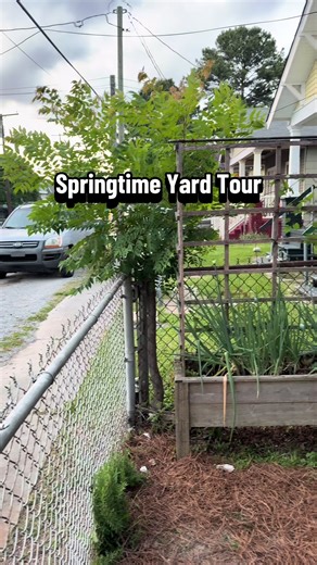 New Orleans Backyard Oasis Tour