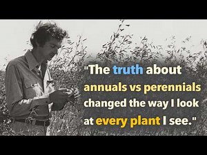 Once You See This About Plants, You Notice It Everywhere » Findings From My Research