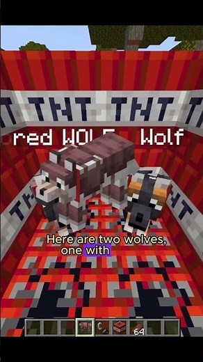 How to Craft Wolf Armor in Minecraft 1.21 🐺🛡️#minecraft #shorts
