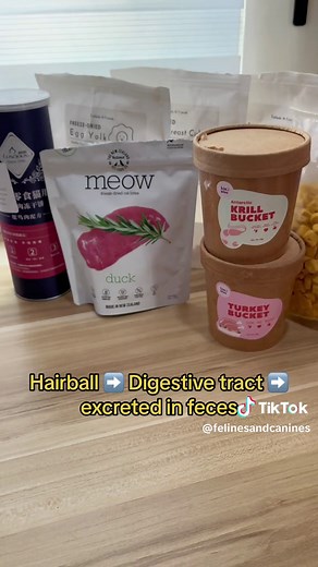 Cat Food Guide: Choosing the Right Diet for Your Feline