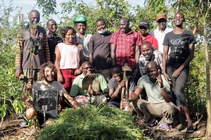 Plant 22 Million Trees by 2022