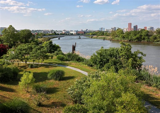 Life insurance payouts and coverage are highest in these states