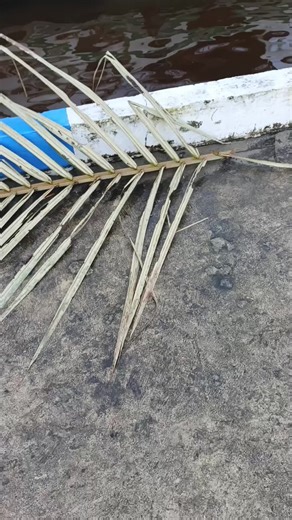 Temukan iPhone Jatuh Tanpa Sanding