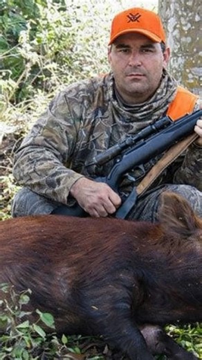 PUBLIC VS. PRIVATE LAND HOG HUNTS: WHAT YOU NEED TO KNOW. #caza #deer #deerhunting#hoghunting