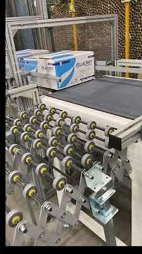 PROTEK | Ultimate Package Handling: Weigh, Sort & Lift in One Smart Line #protek