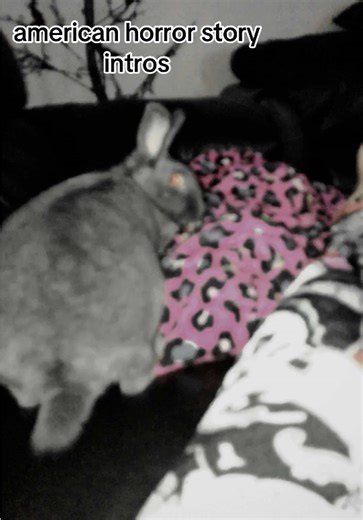 American Horror Story: A Deep Dive into Intros