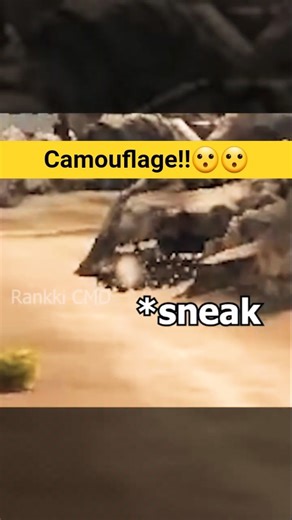 Camouflage!!😮😮| #warthunder #shorts #compilation #warthundertanks