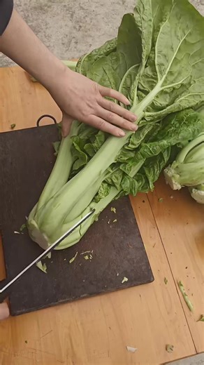 Conversation_Police (@conversation41)’s videos with original sound - Conversation_Police