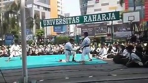 Amazing | Karate Techniques
