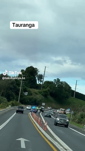 Exploring Tauranga's Local Attractions and Events