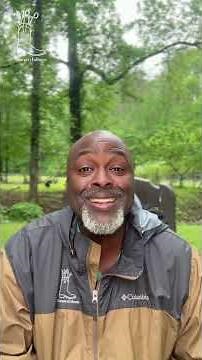 Post-op: Thyroid and Parathyroid surgery