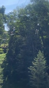 4.3K views · 22 reactions | A real Camelback Mountain Adventure! Have you tried our zip-lines yet?!  : @beautyandbeast___ on IG | Camelback Mountain | Facebook