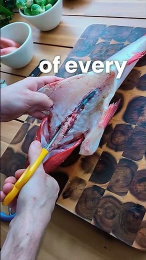 Josh Niland’s Tuna Wellington & The nose-to-tail method