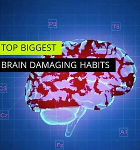 36K views · 202 reactions | What you didn't know about the brain.... | OxygenTwo | Facebook