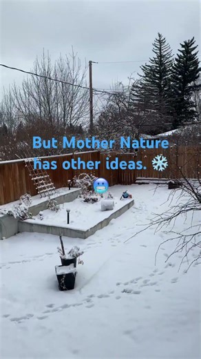 So much for starting on my outdoor lighting, robot lawnmower, & pool robot reviews… ￼❄️ 🥶 ​⁠
