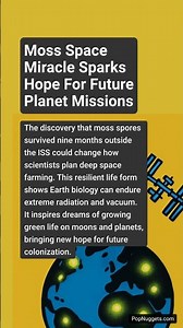 Moss Space Miracle Sparks Hope for Future Planet Missions