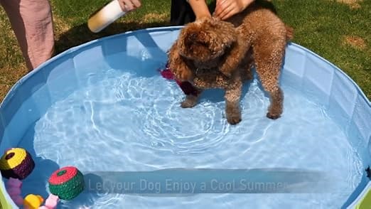 0122e394390c4c56b995e7879a13b9b5