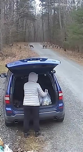 Exploring Tech Magic with Smart Bots