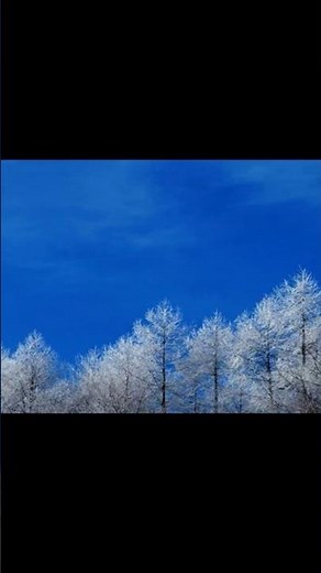 歌がない歌謡曲第2番