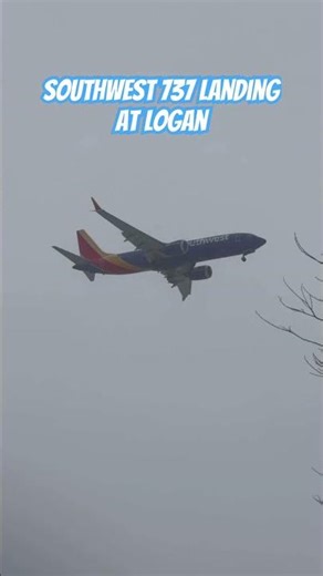 Snowy southwest landing at Logan airport #planes