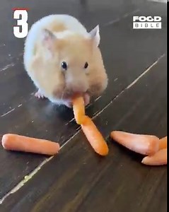 6.5M views · 3.2K reactions | How did she get so many in her cheeks?! 凌 | FOODbible | Facebook