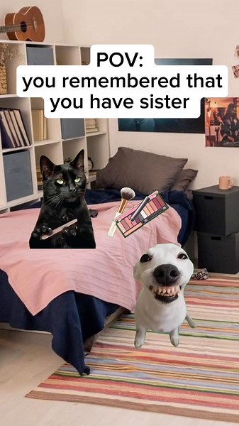 Laughing Cat Memes: Hilarious Family Moments