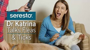 2.6K views · 89 reactions | WARNING ⚠️ Paralysis tick season has...