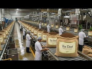 Inside a Modern Tea Dust Factory: From Fresh Tea Leaves to Fine Tea Powder (Full Process)