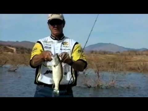 How to Rig a Bass Assassin